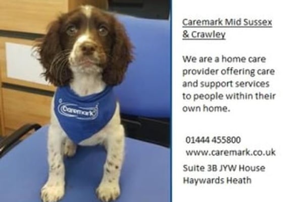 Caremark Mid Sussex & Crawley RH16 1UA