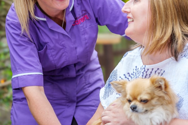 Guardian Angel Carers - Chichester PO19 1ED