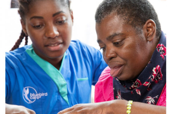 Bluebird Care Braintree and Uttlesford, 12 Freeport Village