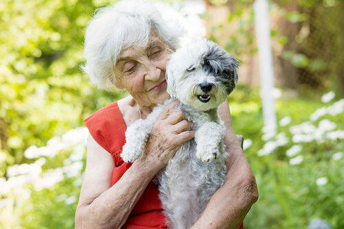Animal therapy: How dogs can benefit people with dementia - homecare.co ...